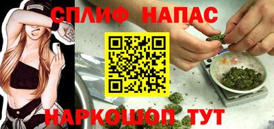 молекула духа Пыть-Ях