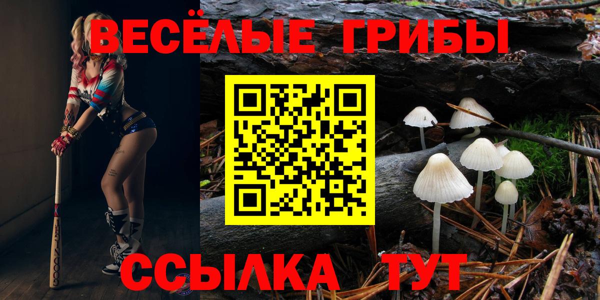 Галлюциногенные грибы Psilocybe Нягань