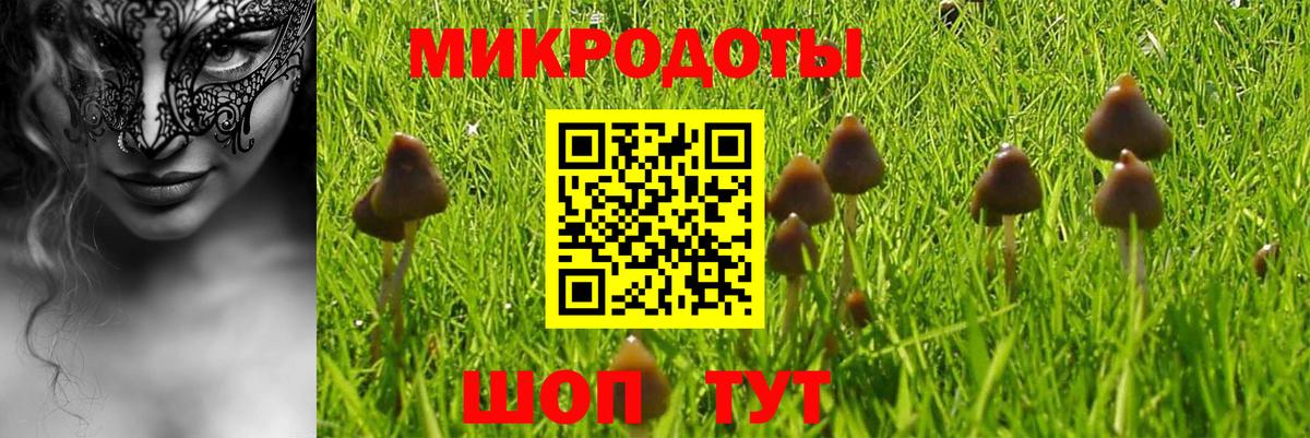 Галлюциногенные грибы Psilocybe  Псилоцибиновые грибы GOLDEN TEACHER  Нягань  Вход с VPN 